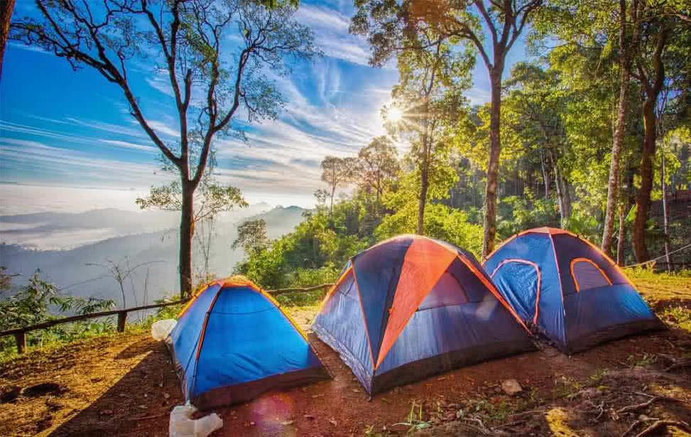 民宿露營相關產業