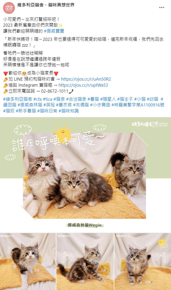 Facebook 社群貼文範例