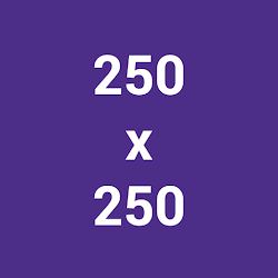 Google多媒體廣告聯播網廣告電腦版常用廣告尺寸250x250