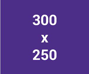 Google多媒體廣告聯播網廣告電腦版常用廣告尺寸300x250